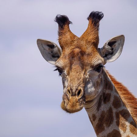 באדפלאס Nkomazi Game Reserve By Newmark מראה חיצוני תמונה