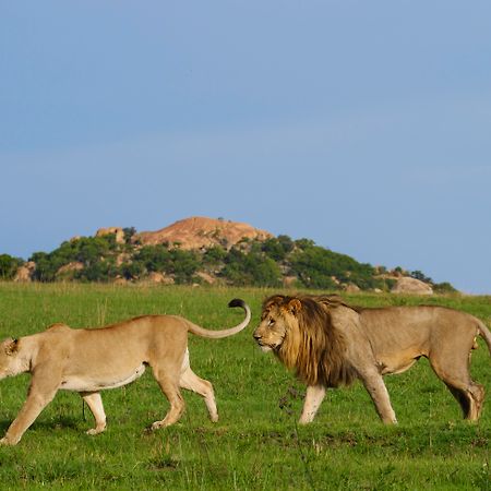 באדפלאס Nkomazi Game Reserve By Newmark מראה חיצוני תמונה