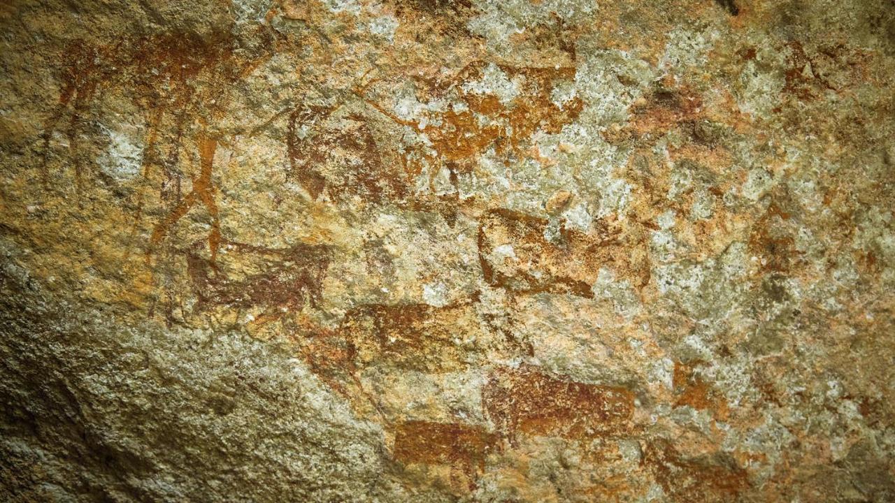 באדפלאס Nkomazi Game Reserve By Newmark מראה חיצוני תמונה