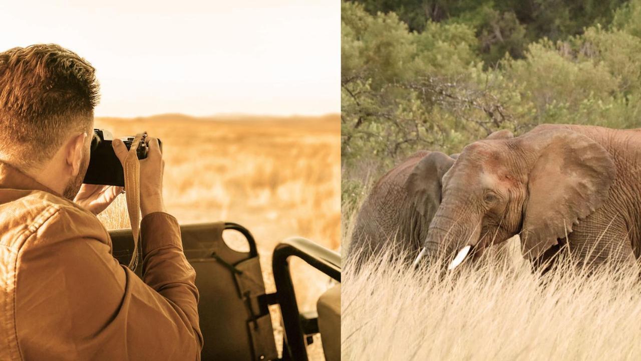 באדפלאס Nkomazi Game Reserve By Newmark מראה חיצוני תמונה