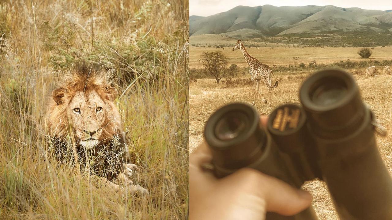 באדפלאס Nkomazi Game Reserve By Newmark מראה חיצוני תמונה