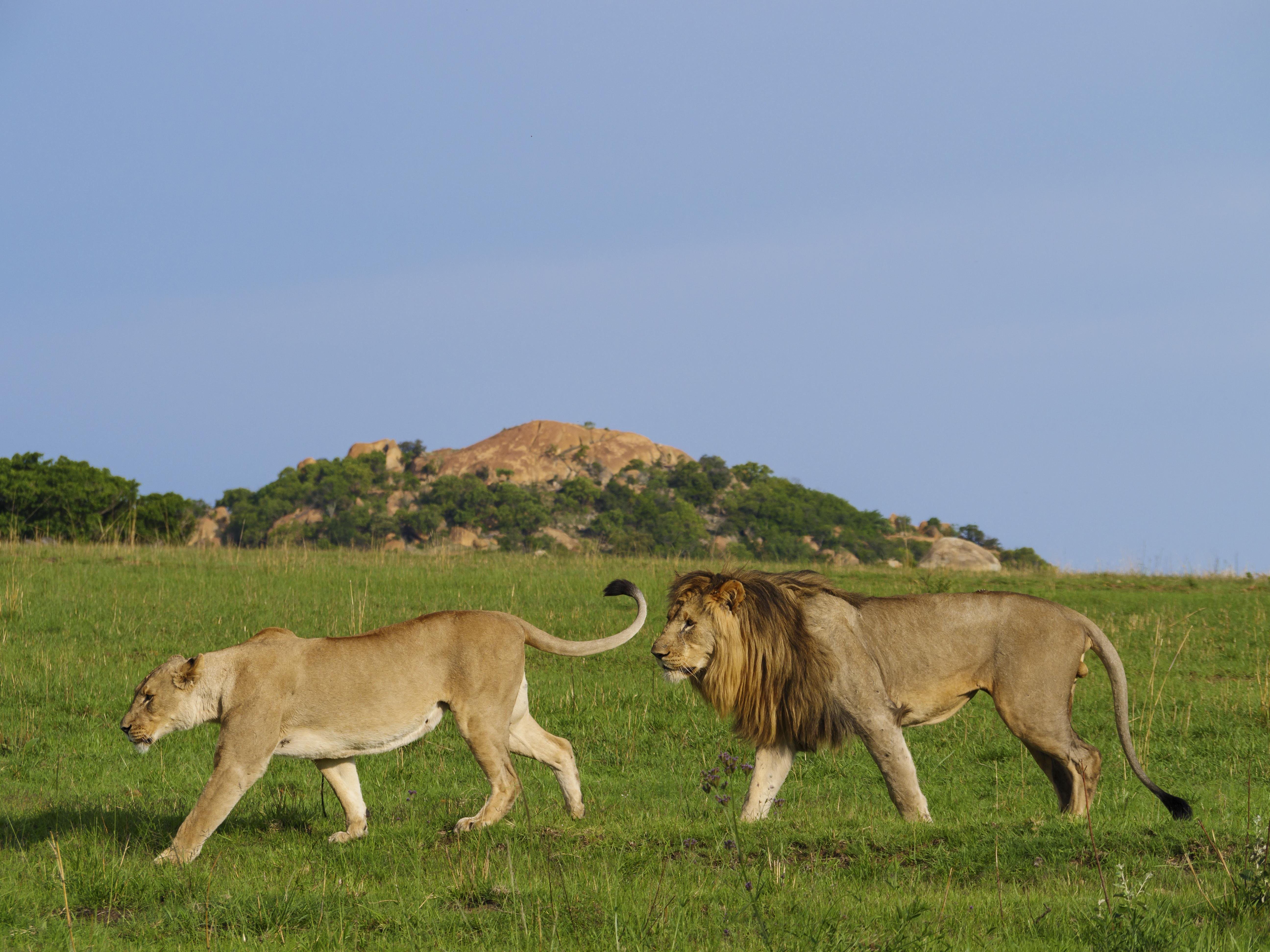 באדפלאס Nkomazi Game Reserve By Newmark מראה חיצוני תמונה